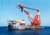 Floating Crane hire charter crane barge hire