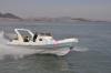 Liya boat,Rigid inflatable boat 8.3m  RIB boat --with CE
