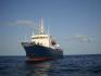 364. Offshore multipurpose DP utility vessel